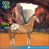 Horse Color:Gray Gold Champagne Splash Blanket 