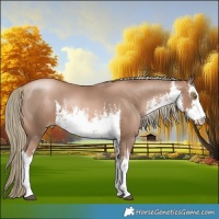 Horse Color:White Spotted Liver Chestnut Pearl Mushroom 