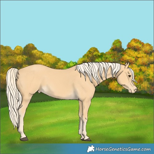 Horse Color:Palomino Varnish