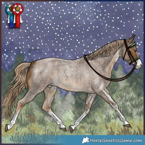 Horse Color:White Spotted Chocolate Palomino Roan Rabicano 