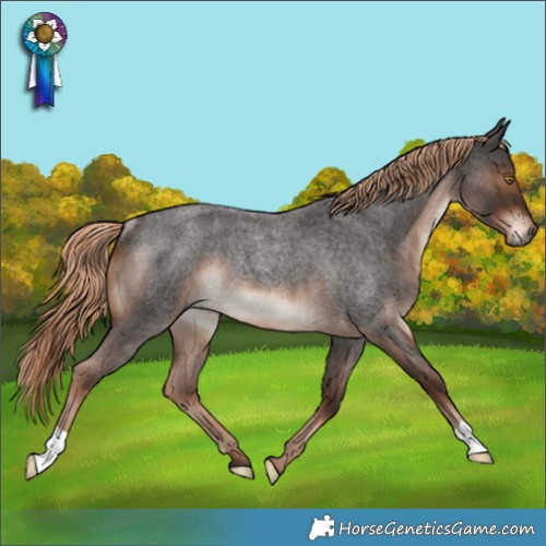 Horse Color:Liver Red Roan Rabicano