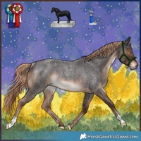Horse Color:Liver Red Roan Rabicano 