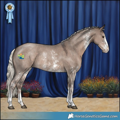 Horse Color:Liver Red Dun Mushroom Sabino