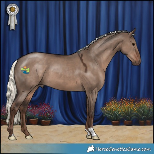 Horse Color:Liver Red Dun Mushroom