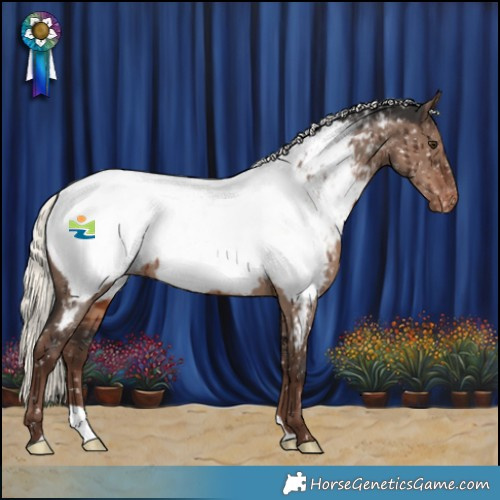 Horse Color:Liver Red Dun Mushroom Appaloosa Brindle