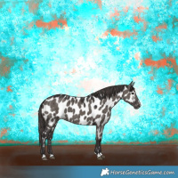 Horse Color:Smoky Grullo Appaloosa Brindle