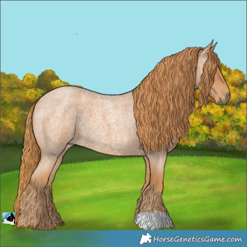 Horse Color:Red Roan 