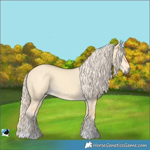 Horse Color:Palomino Dun 