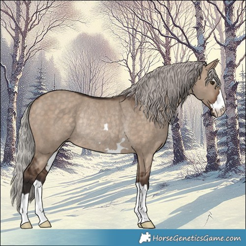 Horse Color:Silver Brown Dun Rabicano 