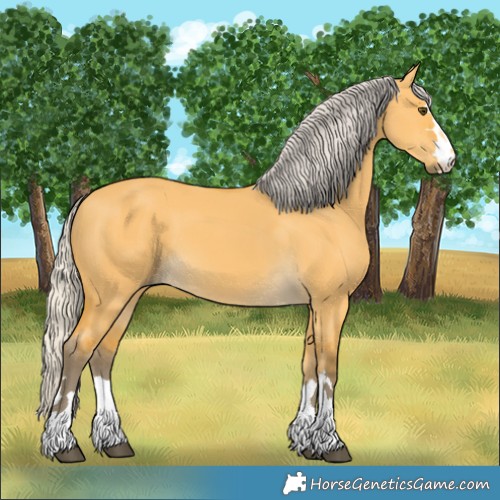 Horse Color:Silver Buckskin Dun