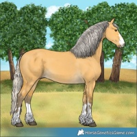 Horse Color:Silver Buckskin Dun 