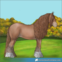Horse Color:Black Pearl