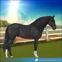Horse Color:Brown 