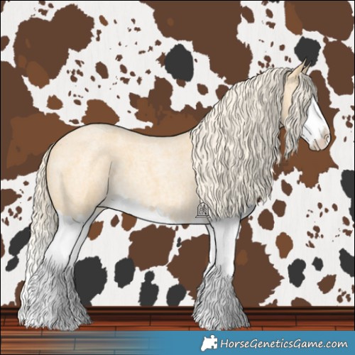 Horse Color:Palomino Roan Splash