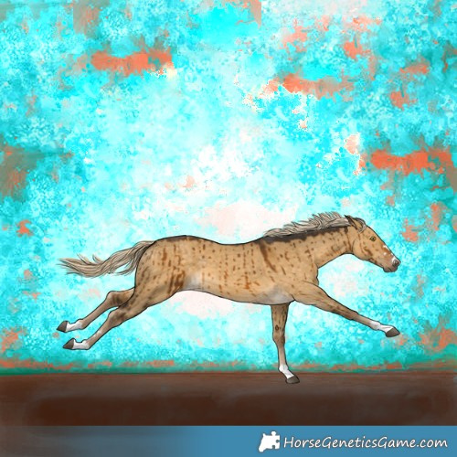 Horse Color:Chocolate Palomino Dun Brindle
