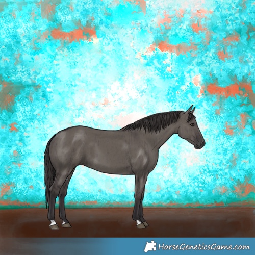 Horse Color:Smoky Grullo Brindle