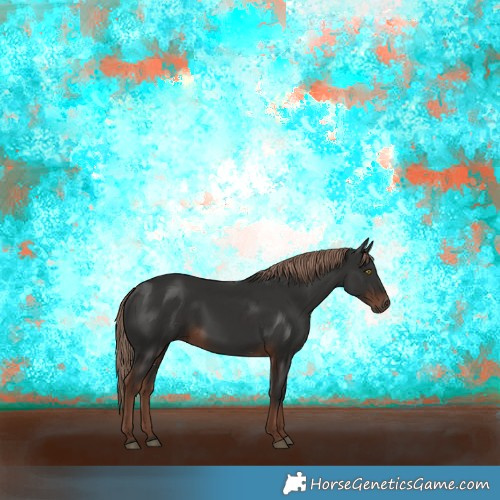 Horse Color:Liver Chestnut 