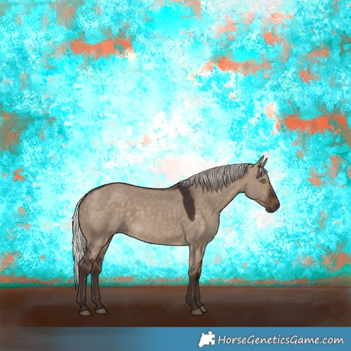 Horse Color:Silver Brown Dun