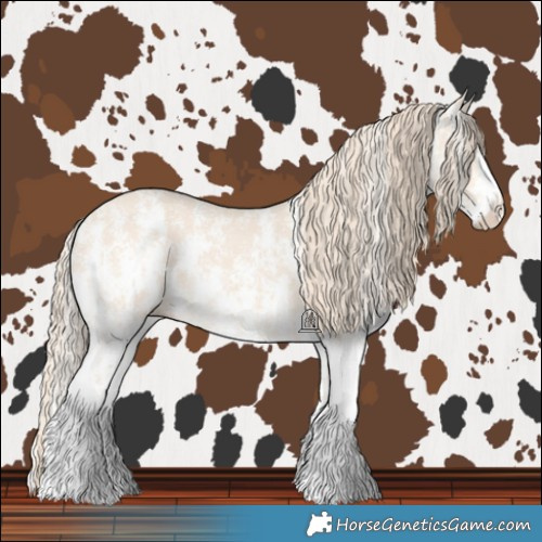 Horse Color:Perlino Sabino and Perlino Sabino Splash