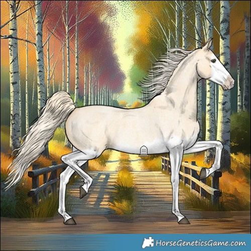 Horse Color:Palomino Roan Dun Splash