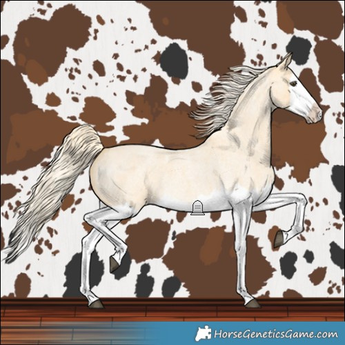 Horse Color:Palomino Roan Dun Splash 