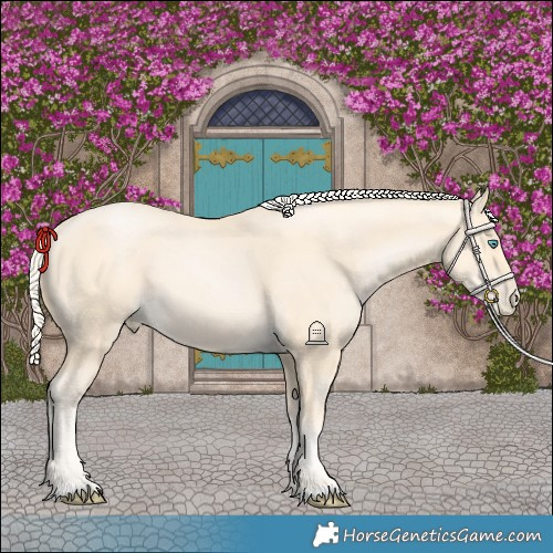 Horse Color:Palomino Pearl 