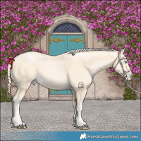 Horse Color:Palomino Pearl