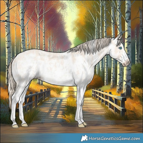 Horse Color:Perlino Sabino and Perlino Sabino Frame