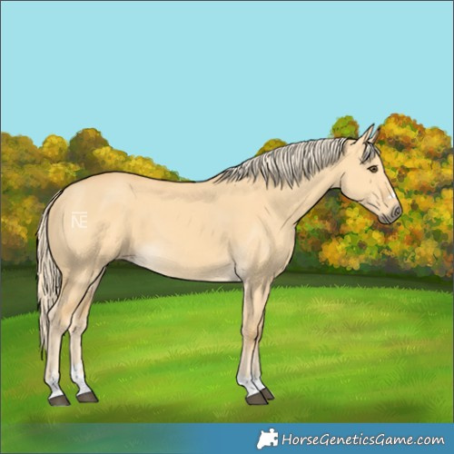 Horse Color:Palomino Dun 