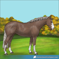 Horse Color:Silver Black