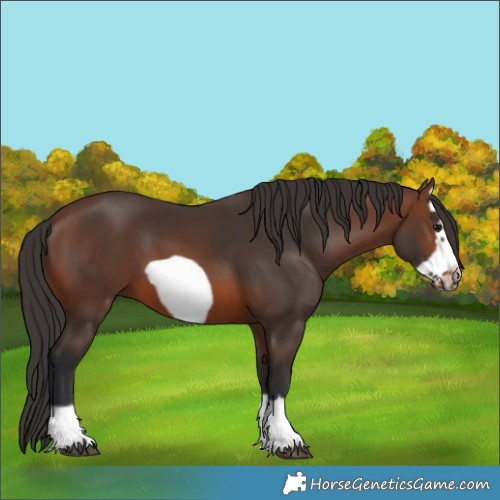 Horse Color:Brown Frame