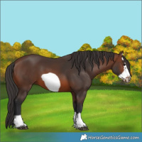 Horse Color:Brown Frame 