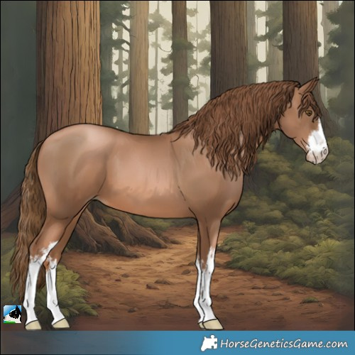 Horse Color:White Spotted Liver Chestnut Pearl