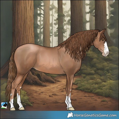 Horse Color:Liver Chestnut Pearl