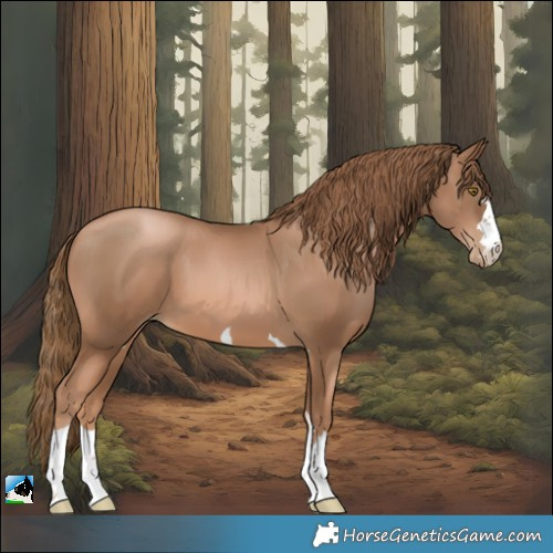 Horse Color:Liver Chestnut Pearl 