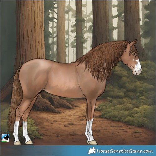 Horse Color:Liver Chestnut Pearl 