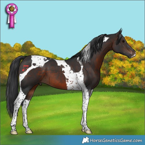 Horse Color:Brown Tobiano