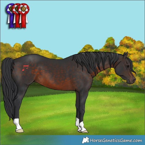 Horse Color:Brown 