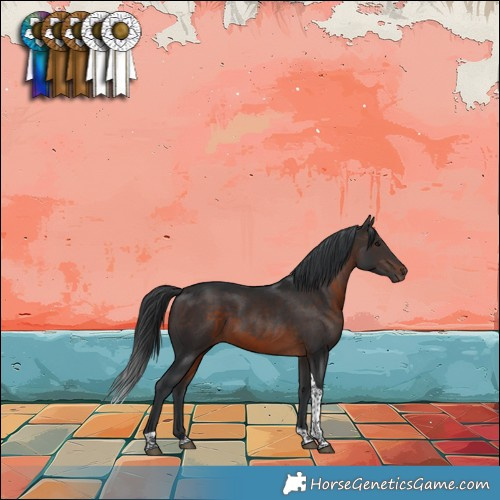 Horse Color:Brown Tobiano