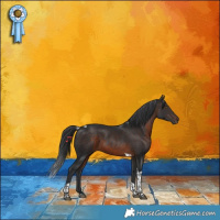 Horse Color:Brown Tobiano 