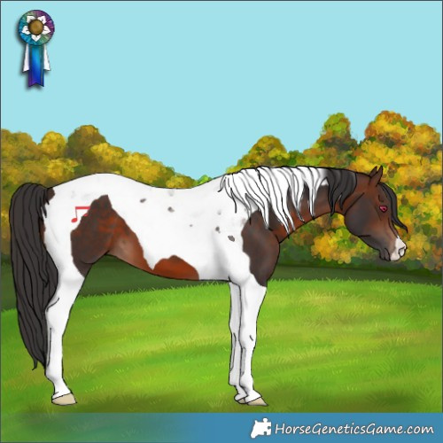 Horse Color:Brown Tobiano