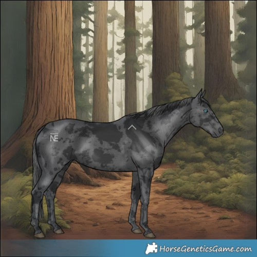 Horse Color:Black Merle