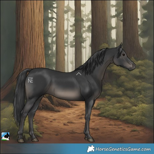 Horse Color:Black Rabicano 