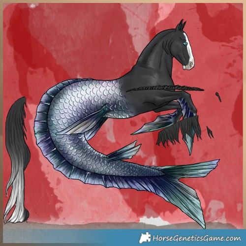 Horse Color:Black Splash