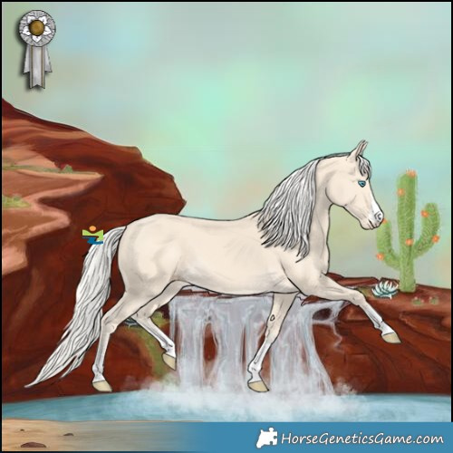 Horse Color:Cremello
