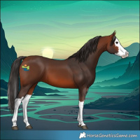 Horse Color:Bay Splash 