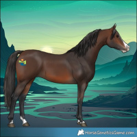 Horse Color:Brown Splash