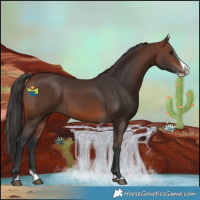 Horse Color:Brown Splash 