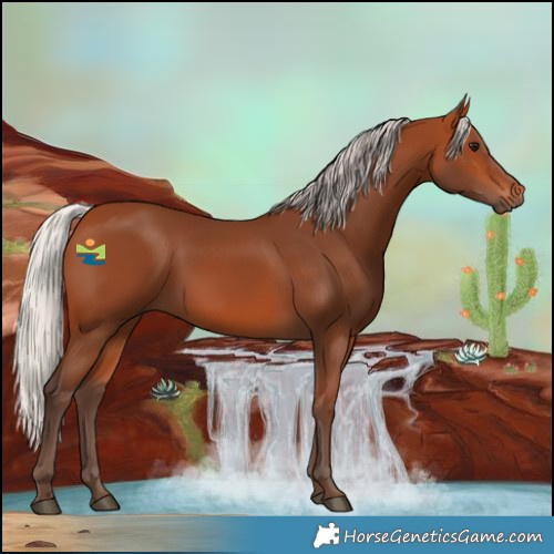 Horse Color:Silver Bay 