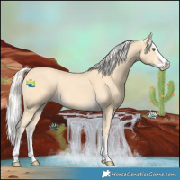 Horse Color:Gold Cream Champagne Splash 